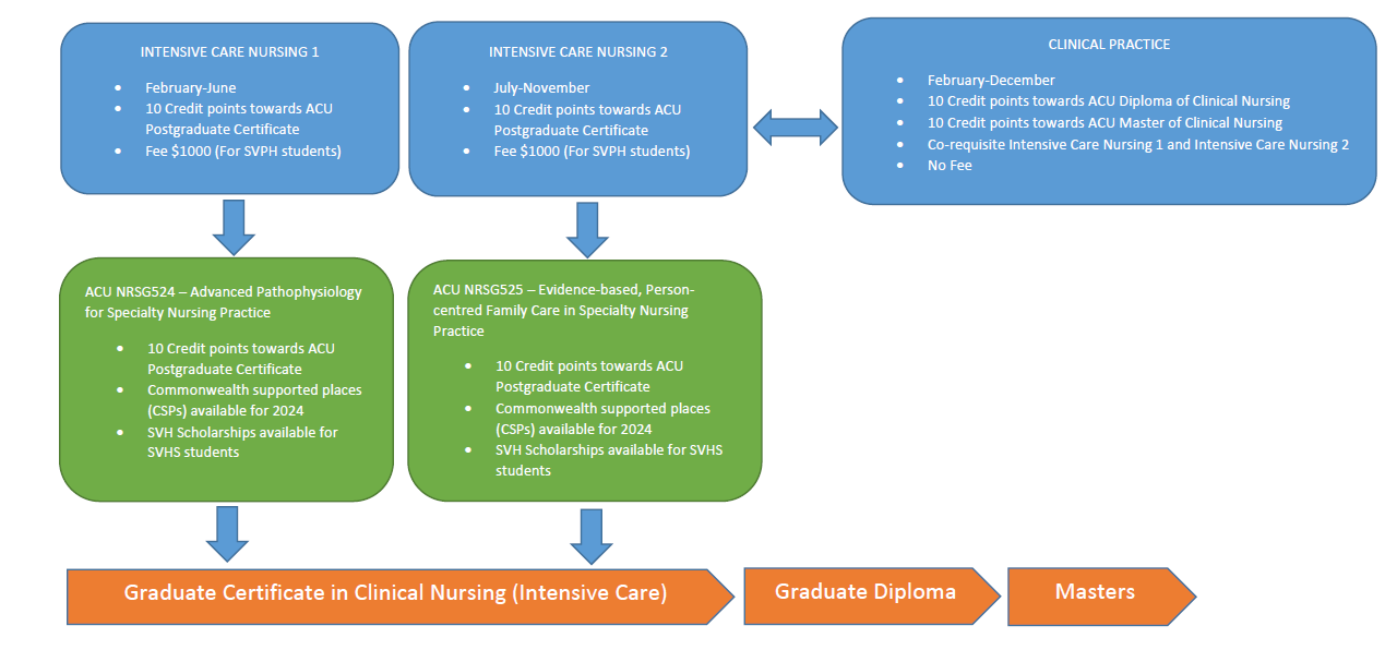 ICU nursing